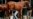 Justify a 4/5 Favorite to Win Belmont, Complete Triple Crown