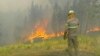 1,000 Firefighters Battle Wildfires in Central Portugal