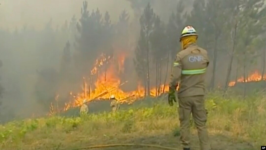 In this grab taken from video on July 20, 2019 provided by TVI, members of the emergency services try to extinguish the fire, in Vila de Rei, Portugal.