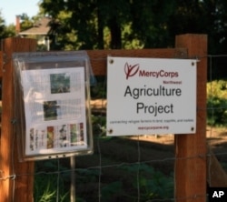 Up until a few years ago, this MercyCorps Northwest farm plot in southeast Portland, Oregon, was a vacant lot.