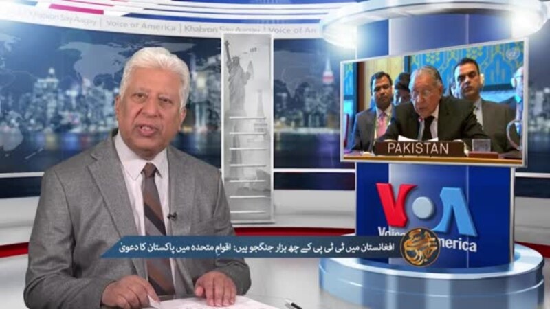 اقوامِ متحدہ میں پاکستان کے مستقل مندوب کا دعویٰ 2 2785b2b7 2797 4014 0a0f 08dd5c8b1668 tv w800 h450