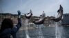 Des dauphins lors de la pratique à l'aquarium de Gênes, en Ligurie, le 22 mai 2020. L'aquarium de Gênes devrait rouvrir le 28 mai après plus de deux mois de fermeture. (Photo de MARCO BERTORELLO / AFP)