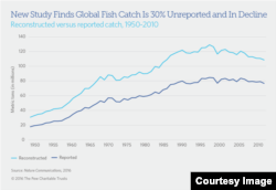 Big Catch in Decline (Pew Charitable Trusts)