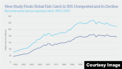 Fish catches have declined in the 90s (Pew Charitable Trusts).