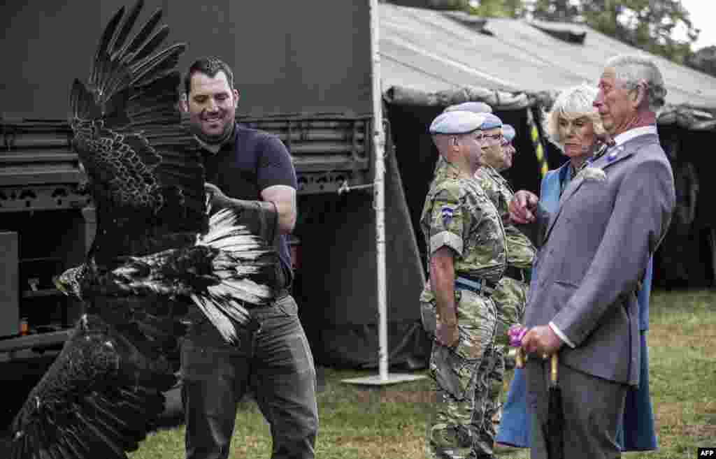 Britain&#39;s Prince Charles, Prince of Wales (R) and his wife, Camilla, Duchess of Cornwall (2R) react as &quot;Zephyr&quot; the Bald Eagle, the mascot of the British Army Air Corps, flaps her wings whilst being held by handler Andy Winford during a tour of the annual Sandringham Flower Show in Norfolk. &nbsp;