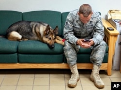 FILE - Gina, a highly trained bomb-sniffing dog with the U.S. military, joins Staff Sgt. Chris Kench on a sofa at the kennel at Peterson Air Force Base in Colorado Springs, July 29, 2010.