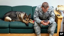 In this photo taken Thursday, July 29, 2010, Gina, a highly trained bomb-sniffing dog with the U.S. military, joins Staff Sgt. Chris Kench on a sofa at the kennel at Peterson Air Force Base in Colorado Springs. 