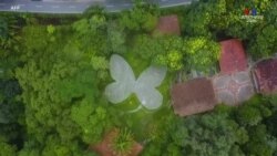 Ալբերտո Գոմեսը 40 տարի առաջ բուսաբանական այգի է հիմնել Կոլումբիայում, ուր էլ անցկացնում է կարանտինը՝ շրջապատված թիթեռներով և բույսերով: