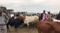 በዓል ሓድሽ- ዓመት፡ ዕዳጋ መቐለ