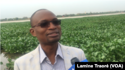 Ghislain Kaboré Directeur général de l’agence de l’eau du Nakambé à Ouagadougou, le 23 septembre 2019 (VOA/Lamine Traoré)