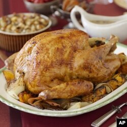 If they did eat turkeys at the first Thanksgiving, they were probably not as plump as today's holiday birds.
