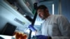 German Scientists Create See-Through Human Organs
