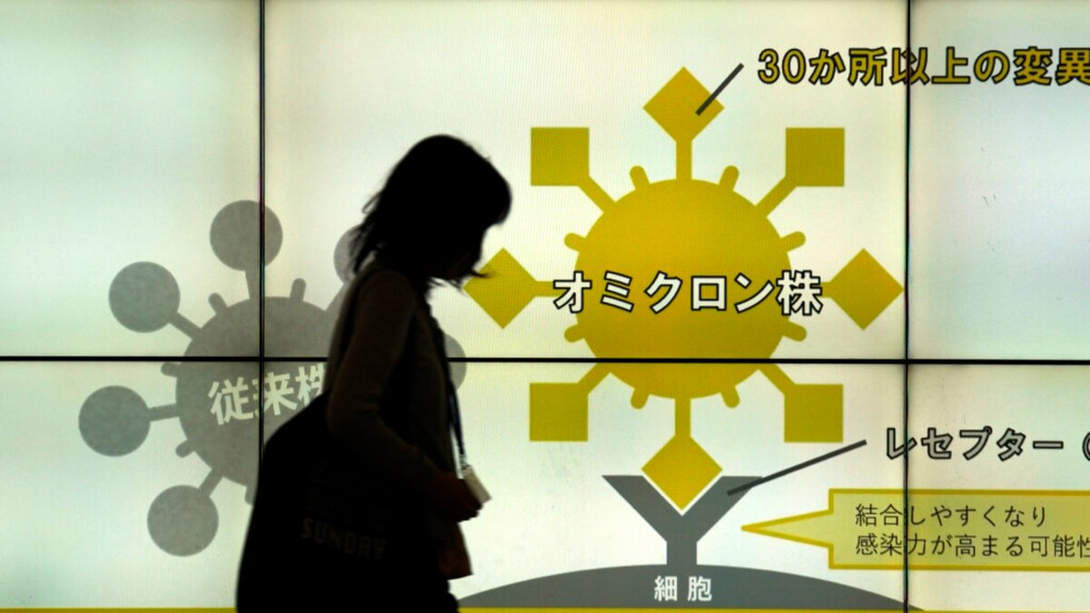 Explainer What's Known About 'Stealth' Version of Omicron?