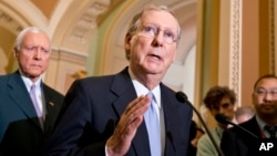 El senador por Kentucky, Mitch McConnell, ha anunciado su oposición a las medidas radicales propuestas por el Tea Party respecto del cierre del gobierno.
