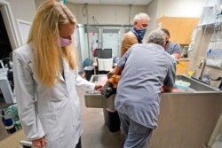 Dr. Katarzyna Ferry (kiri) membelai Bubba, seekor anjing yang tengah diperiksa di Veterinary Specialty Hospital, Palm Beach Gardens, Florida. Sekitar 12.6 juta rumah tangga di AS memiliki hewan piaraan baru tahun lalu, setelah pandemi COVID-19 dimulai bul