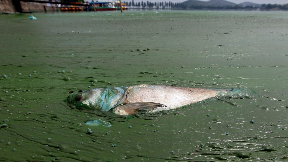 China’s Other Pollution Problem Water