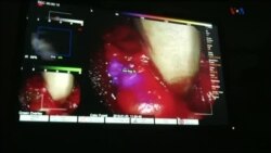 اخبار شامگاهی