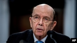 FILE - In this March 10, 2020, file photo, Commerce Secretary Wilbur Ross testifies on Capitol Hill in Washington. 