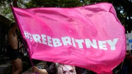 A Britney Spears supporter waves a 