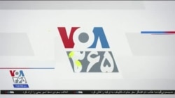 اخبار شامگاهی