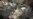 Reports: More Than 16 Dead in Suicide Attacks in Damascus