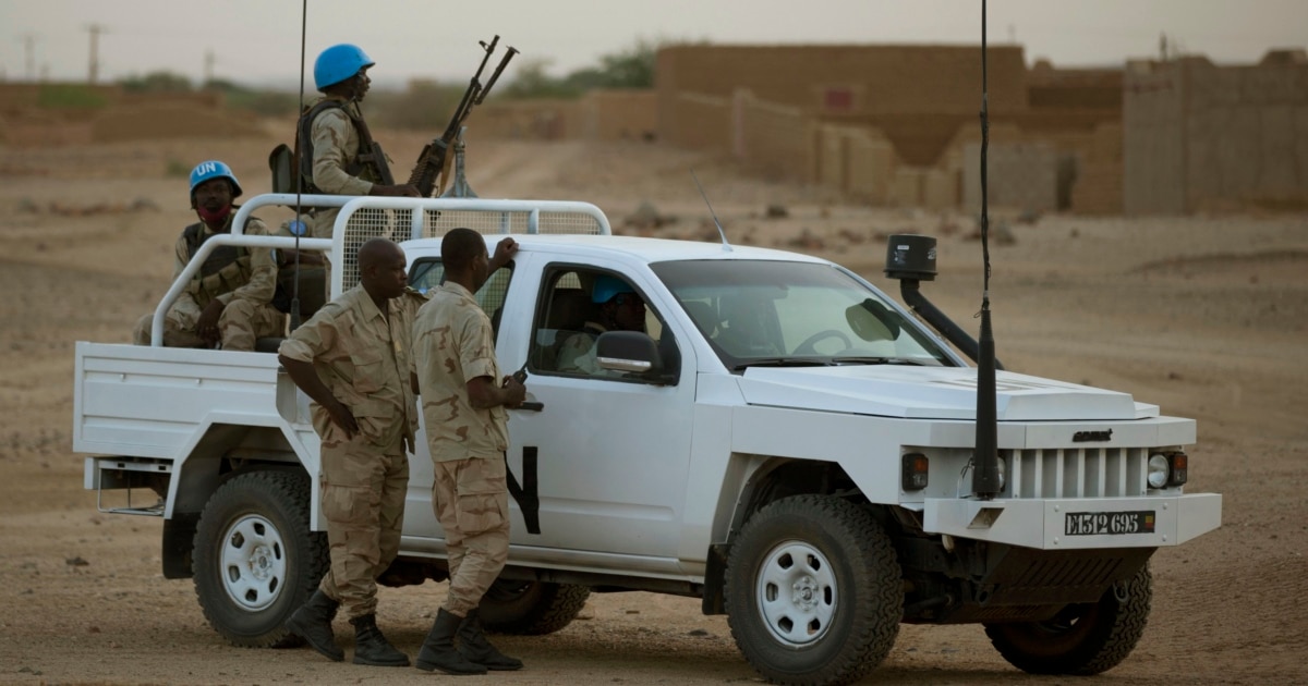 Netherlands Will Reduce Role in Malian Peace Mission