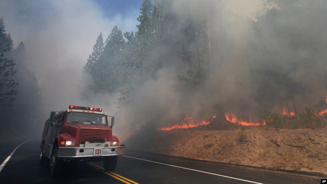 A fire truck drives past burning trees as firefighters continue to battle the Rim Fire near Yosemite National Park, California, Aug. 26, 2013