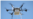 Drone Delivery Company Claims 77 Successful Drop-offs