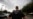 Immigration Operation Touted by Trump Nets 35 Arrests