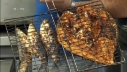 ນັກວິທະຍາສາດ ເວົ້າວ່າ ປາເປັນແຫຼ່ງ ສະໜອງ ທາດໂປຣຕິນຫຼັກ ໃຫ້ແກ່ຄົນ ໃນຍຸກຫີນ ແລະດີຕໍ່ສຸຂະພາບ