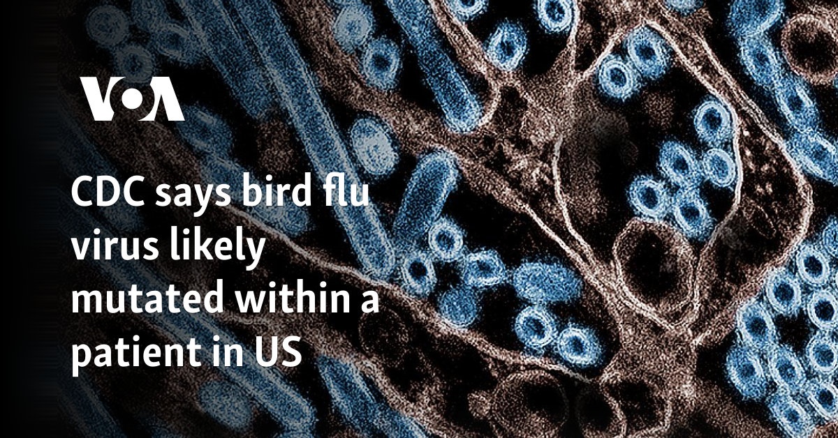 CDC Says Bird Flu Virus Likely Mutated Within a US Patient