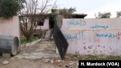 (arşîv)