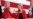 Warren's Immigration Plans Reflect Party's Leftward Shift