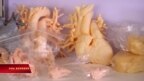Nội tạng in 3-D