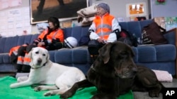 Rescatistas buscan con perros a más sobrevivientes de la seguidilla de potentes sismos en Japón. En la foto, un par de rescatistas aguardan por indicaciones en la estación de policía en Suzu, Ishikawa, el 3 de enero de 2024.