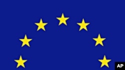 ကုလ စံုစမ္းေရးေကာ္မရွင္ ဖဲြ႕ေရး EU အတြင္း ေဆြးေႏြး
