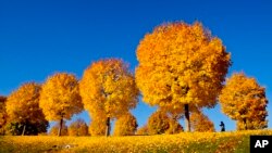 ကဗျာဆရာ ကျောင်းဆရာ