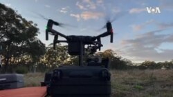 TECH Infrared Drones & Koalas -- USAGM