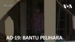 AD-19: Bantu Pelihara Hewan yang Terlantar Akibat COVID-19