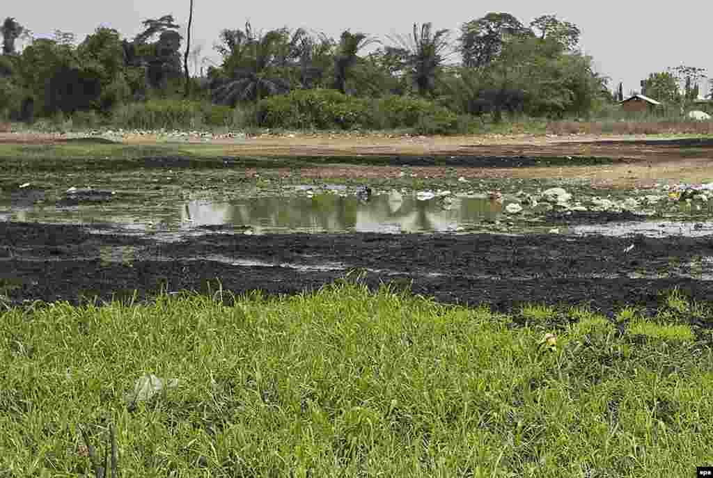  Gurbacewar kasa a yankin al'ummar Ogale dake Niger Delta mai arzikin man fetur, 9 Maris 2016.