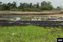FILE - Land has been polluted by oil in the Niger Delta, Nigeria, March 9, 2016.