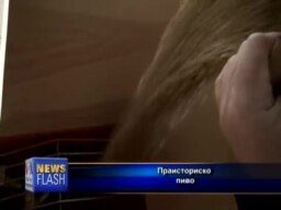 Праисториско пиво