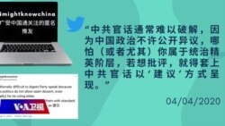推特上的中国：中国前副外长隐晦批“战狼”，“炮打司令部”？