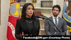 د امریکا د ملي استخباراتو مشره، تولسي ګبارډ