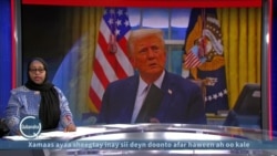 Trump oo cafis u fidiyey 1,500 maxbuus