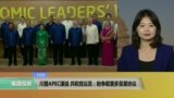 VOA连线：川普APEC演说，共和党议员：盼争取更多贸易协议