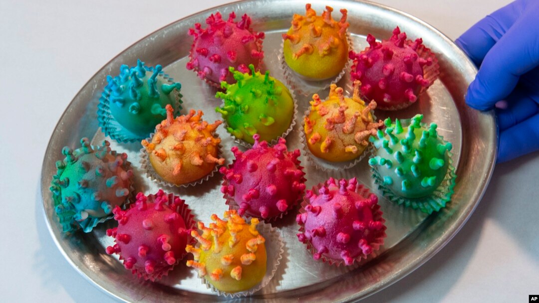 Master confectioner Torsten Roth presents his so called 'Corona Antibody Pralines' in the Roth Backery in Erfurt, central Germany.