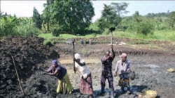 Entreprise communautaire de pisciculture à Naminya, en Ouganda