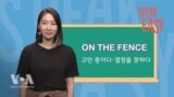 [Speak Easy] 결정을 못 하는 'On the fence'