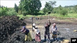 FILE - A team of people puts the finishing touches on a pond, one of four they have dug over the last year as part of a community fish-farming business, in Naminya, Uganda.